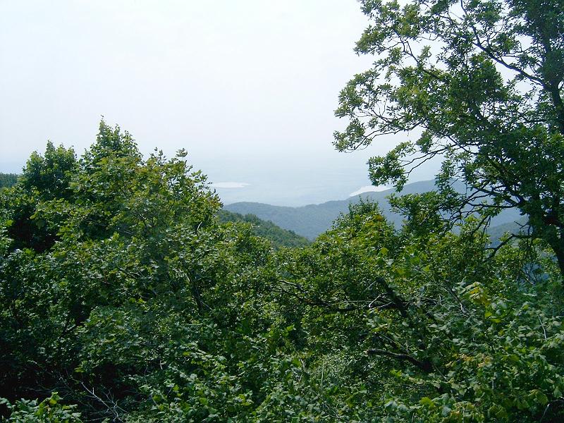20100814 021.jpg